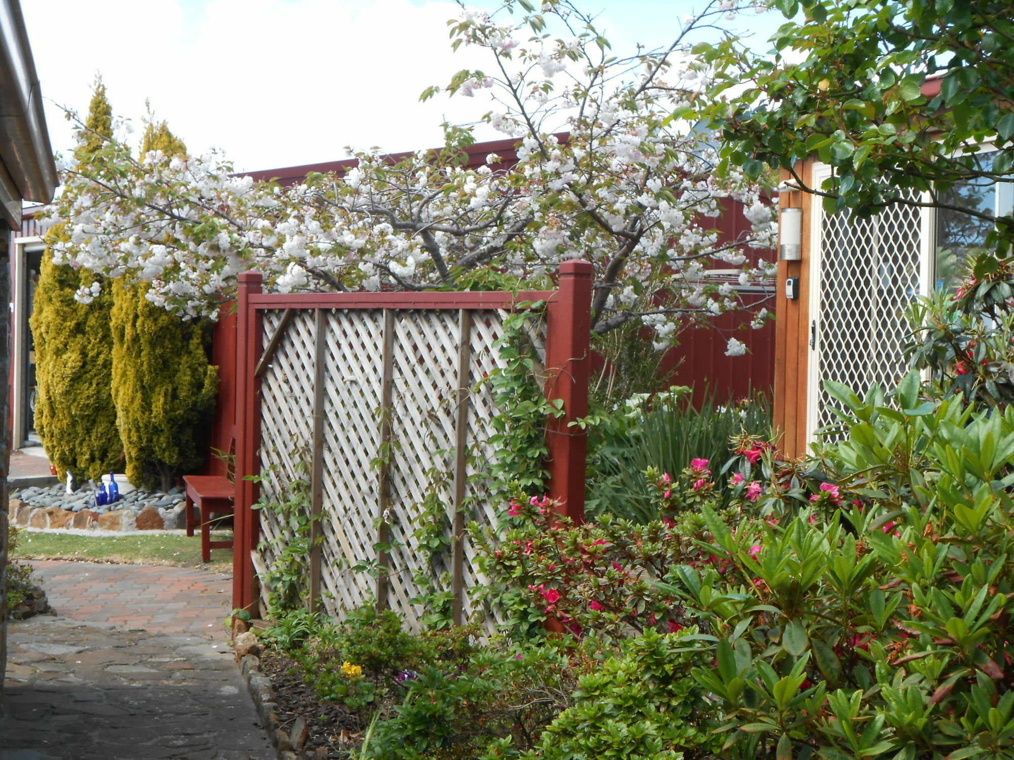 The Penguin Room - Tidelines Of Bicheno Exterior photo