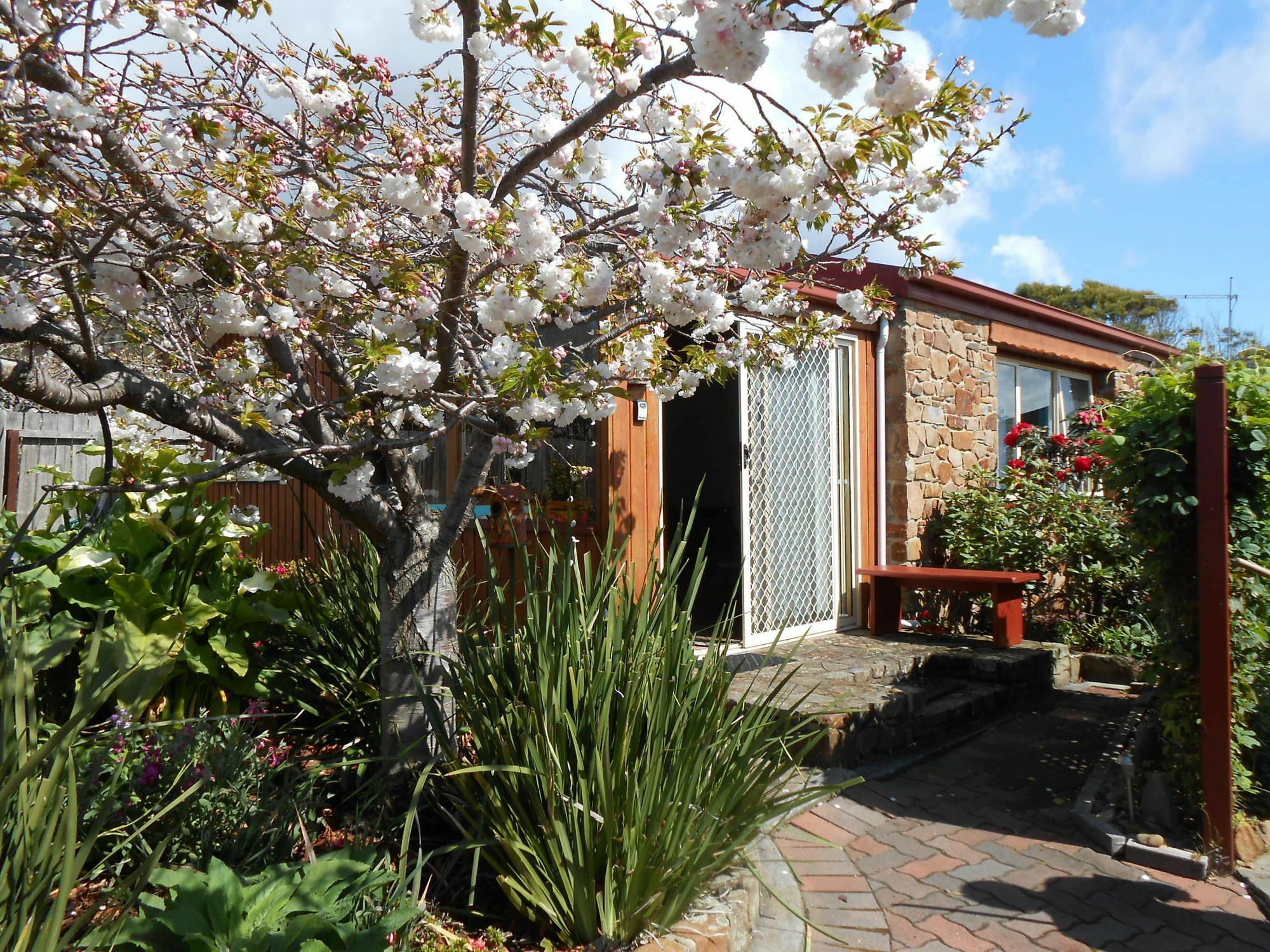 The Penguin Room - Tidelines Of Bicheno Exterior photo